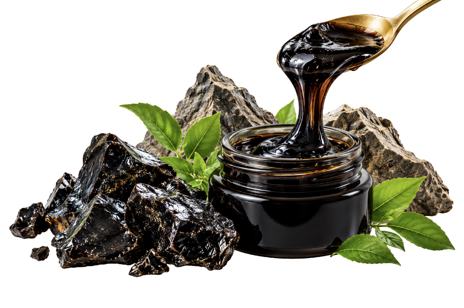 Pure Shilajit